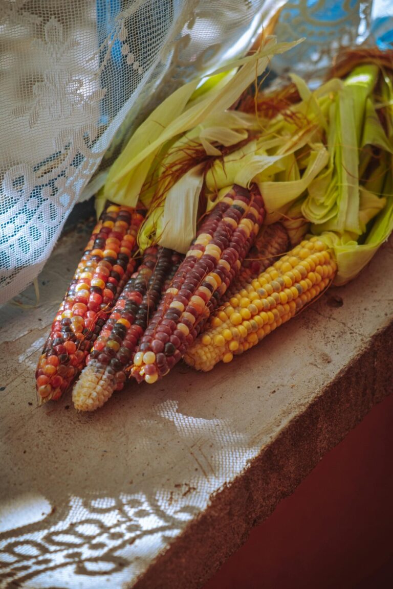 corn