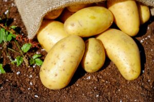 Saco de papas