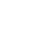 Icono de bug